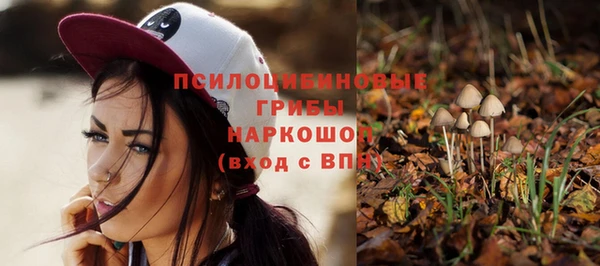 ГАЛЛЮЦИНОГЕННЫЕ ГРИБЫ Нязепетровск